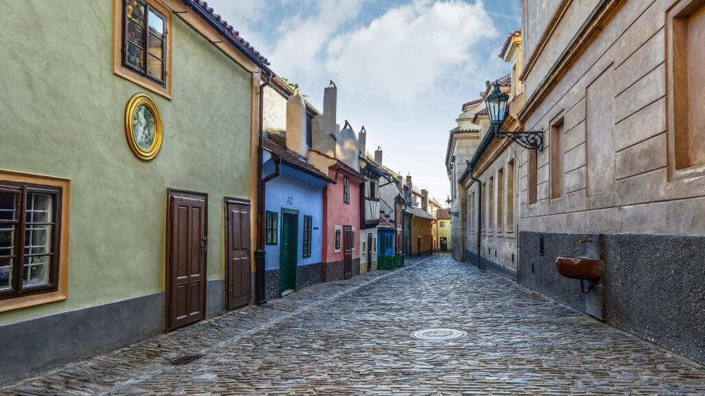 Kavka ve Zlaté uličce. Vzácných živočichů a rostlin jsou na Hradě stovky